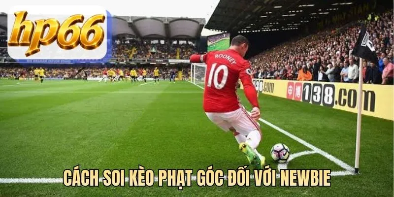 Cách soi kèo phạt góc đối với Newbie