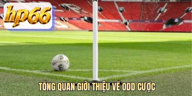 Tổng quan giới thiệu về odd cược